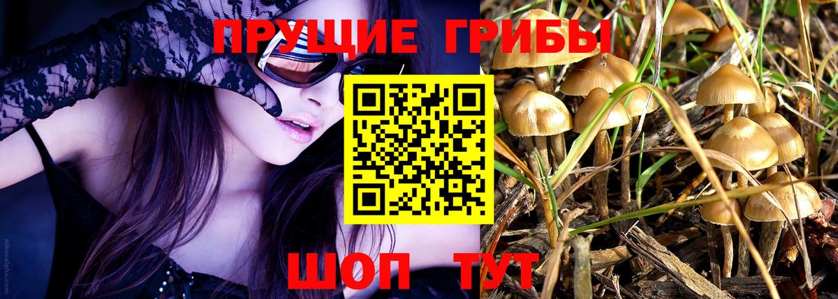 Галлюциногенные грибы Magic Shrooms  купить закладку  Тамбов  Вход с VPN 